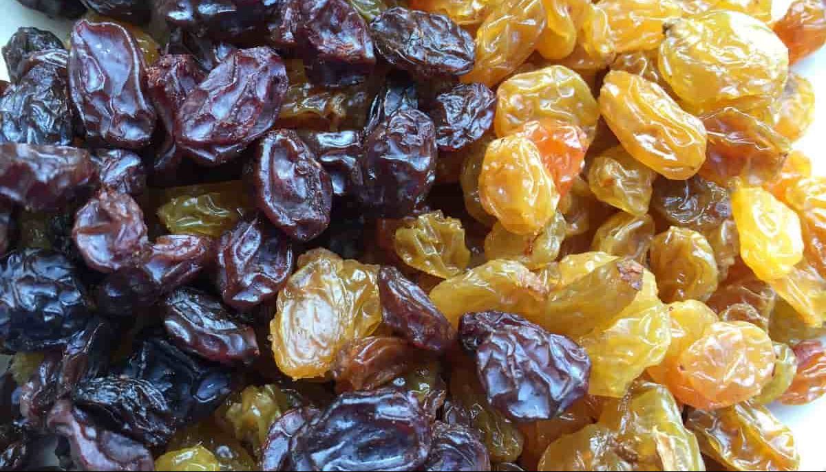  The best Yellow Sour Raisins + Great purchase price 