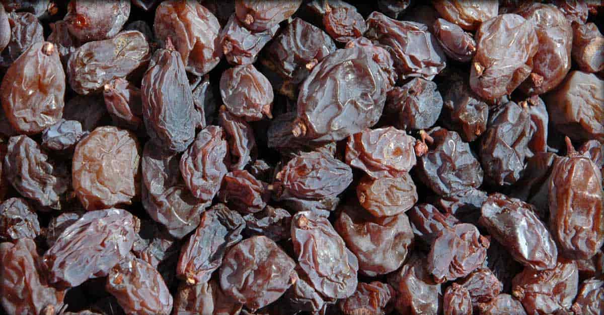  Black Raisins Soaked in Water Overnight + Best Buy Price 
