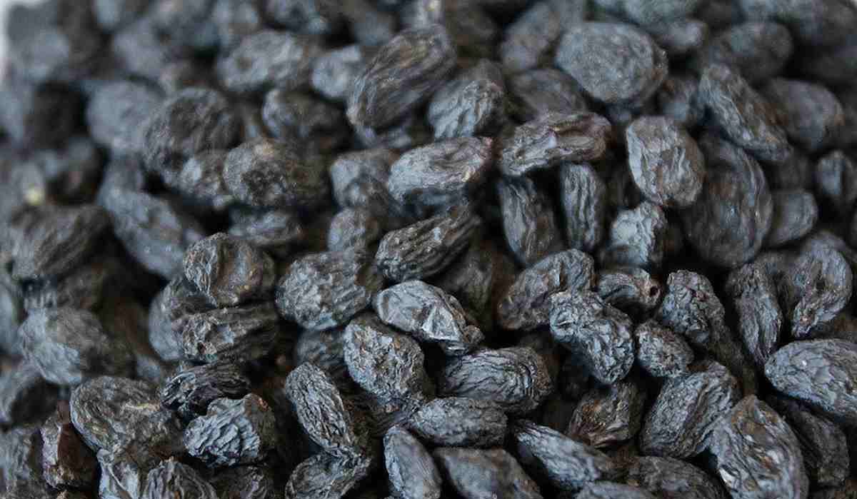  Black Raisins Water During Pregnancy + The purchase price 